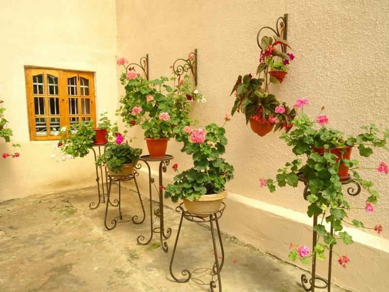 Guesthouse On Zheleznodorozhnaya Сухуми Екстериор снимка